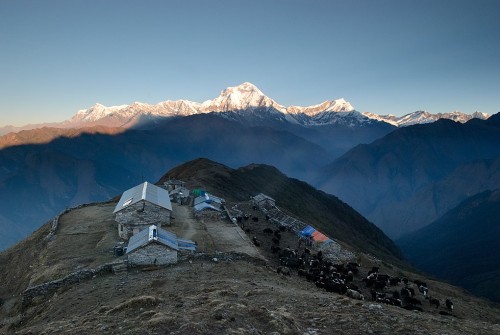 Khopra Danda Trek