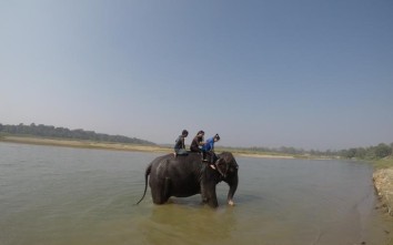 Kathmandu City Tour, Trisuli River Rafting, & Chitwan Jungle Safari Tour